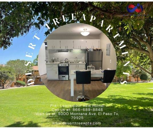 STUDIOS AVAILABLE FOR IMMEDIATE MOVE IN! 1