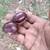 Chestnuts 11 thumbnail
