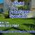✅ SANCHEZ Artificial turf specialist, Fake Grass, more. Reliable.✅ 9 thumbnail