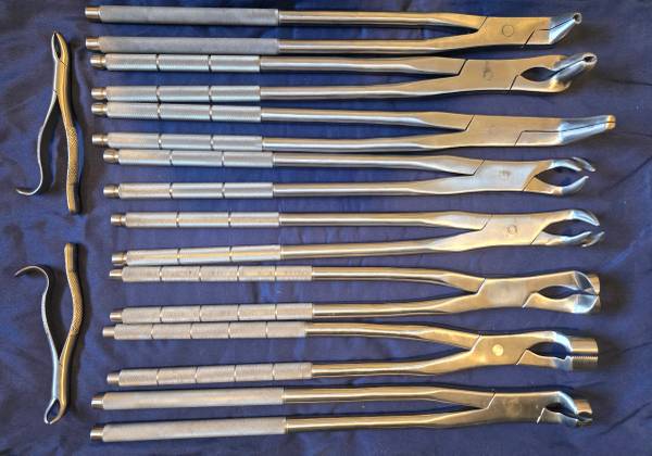 Equine veterinary extraction forceps kit 1