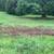 Mowing & lawn care Mechanicsburg PA surrounding area 13 thumbnail