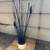 Whatchamacallit Decoration 2 thumbnail