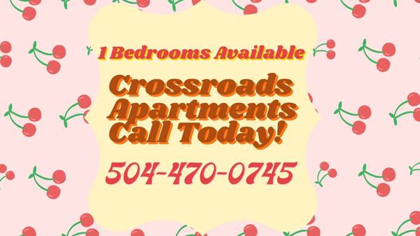 $1,055 / 1hab - 551ft2 - ¡Será mejor que vengas a conseguir uno de estos! ¡Es un apartamento de una habitación! (Metairie)63791870814467120