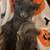 Spooky scary Skeletons 6 thumbnail