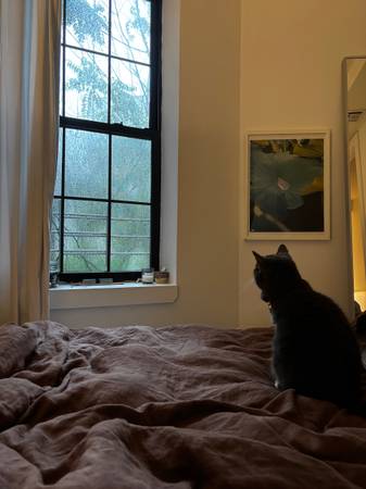 Lease Takeover

$1,734

                        Crown Heights