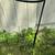 Wrought iron in ground planter stands 3 thumbnail