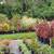 Landscaping plants- liquidating 3 thumbnail