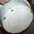 BIG ANTIQUE BOWL 1930s Vintage Metal Wash Basin Kitchen Pan White Dish 5 thumbnail