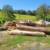 Firewood 2 thumbnail