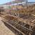 Bidwell Work Bridge Platform 24-inch 100+ ft Concrete Deck # 4476 2 thumbnail