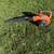 Echo gas leaf blower 1 thumbnail