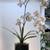 Handblown Clear Cube Glass Vase/Candle Holder 5 thumbnail