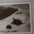 Sea Turtle Framed Photograph 5 thumbnail