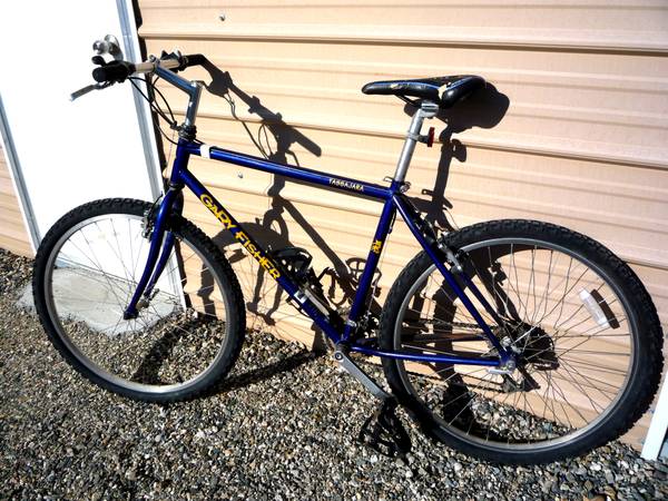 Gary Fisher Mtn Bike 1