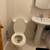 1 min walk to L train(Halsey Sta) Fully Renovated 2BR Apt, 1st FL 11 thumbnail