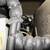 Manitowoc QY0454A ICE MACHINE/NO BIN 5 thumbnail