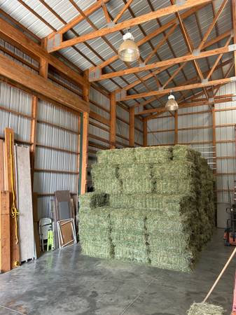 Alfalfa - 2nd Cutting 1