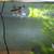White King Cobra Guppies 2 thumbnail