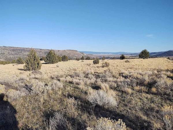 $90,000 / 430000ft2 - 10.33 acre  water electric & sewer  amazing view paved access (John Day)63839291681283122