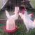 Chickens 1 thumbnail