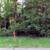 Vacant Wooded Parcel in Wisconsin Dells 5 thumbnail