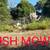 Brush Cleaning, tree pruning, tree removal 15 thumbnail
