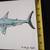 2 Great White Sharks Paintings Original Artworks Signed 7 thumbnail