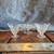 Vintage Heisey Orchid Etched Glass Cream & Sugar Set Wit Serving Plate 2 thumbnail