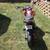 2021 135 Benelli 4 thumbnail