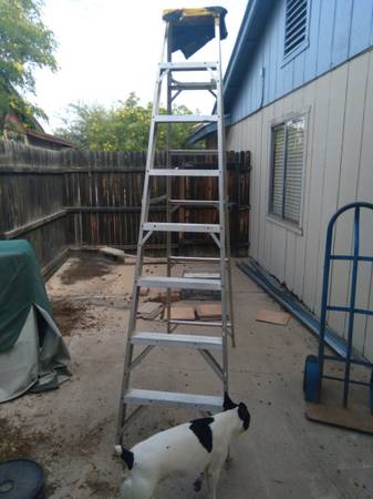 Werner 8 foot aluminum ladder 1