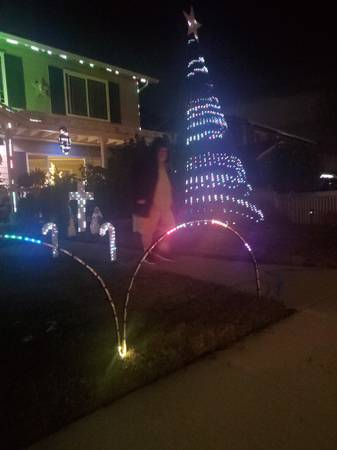 Whole House LED Light Show 1