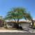 Tree Service / yard maintenance / tree and shrub planting / feeding 3 thumbnail