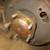 5 Triumph , Austin Healey, MG, Jaguar Wire Rims, MG 14 thumbnail
