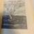 The Prophet by Kahlil Gibran - 1966 5 thumbnail