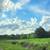 42 ACRES, SULLIVAN CO., $275K, MLS#2025​15126 4 thumbnail