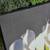 Lily Canvas 3 thumbnail