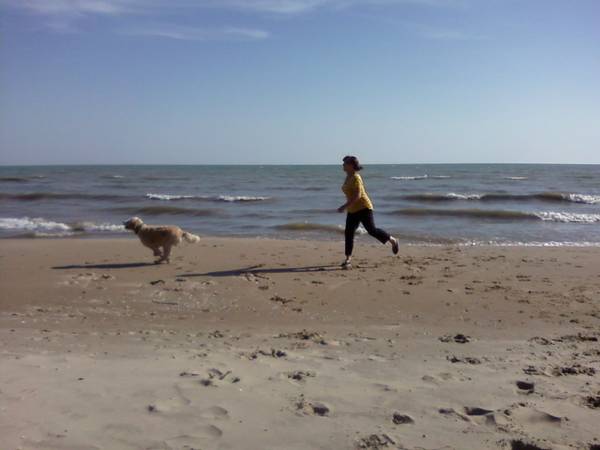 Beachfront knotty pine cottage 1