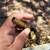 Worthington UL2317 Brass Pencil Flame Propane Torch Head - Works Great 5 thumbnail