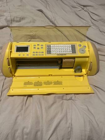 Cricket Expression 1