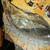 2012-2015 Ford Focus Headlamp 2 thumbnail
