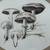 Mushrooms Signed Beverly Hacket 1986 CA artist 2 thumbnail