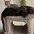 3 Awesome Bonded Foster Cats need a special home 1 thumbnail