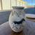 Southwestern Style Pottery Vase – Hand Painted Horse Design – 9” Tall 2 thumbnail