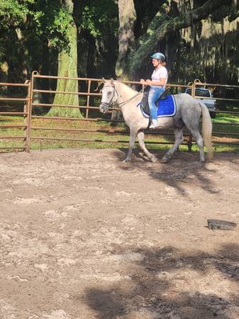 Horseback Riding Lessons 1