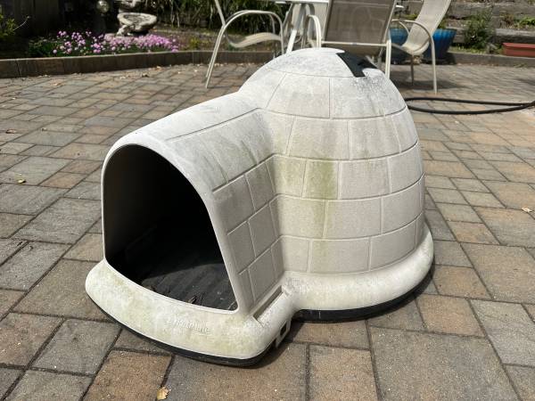 Dog Igloo 1