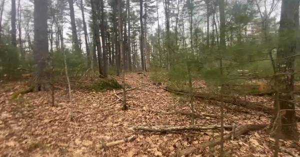 Construcción de $13.000 aquí (Dingmans Ferry, PA)63470215394433121