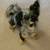 Rehoming Pomeranian Poodle mix 1 thumbnail