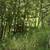 BUILDABLE 1.75 Acres 4 thumbnail
