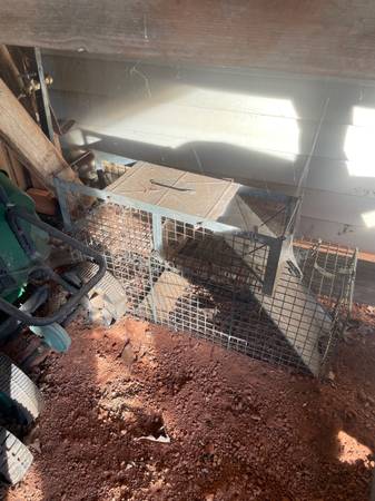 Trapping cages 1