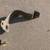 1993-1995 Subaru Impreza Front Wheel Drive (FWD) Parts (Part 2) 8 thumbnail